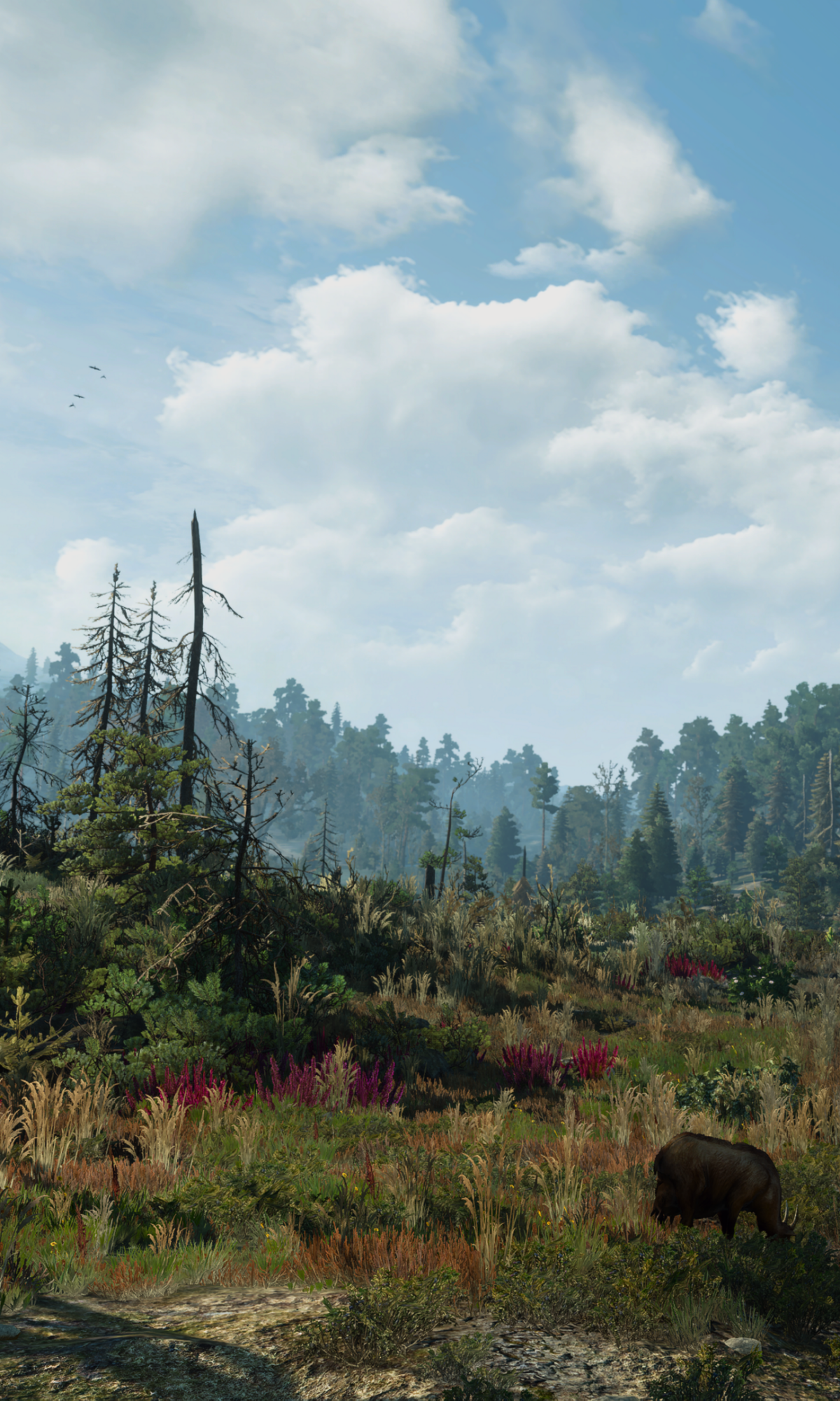 The Witcher 3 - Sunny Day on Skellige
