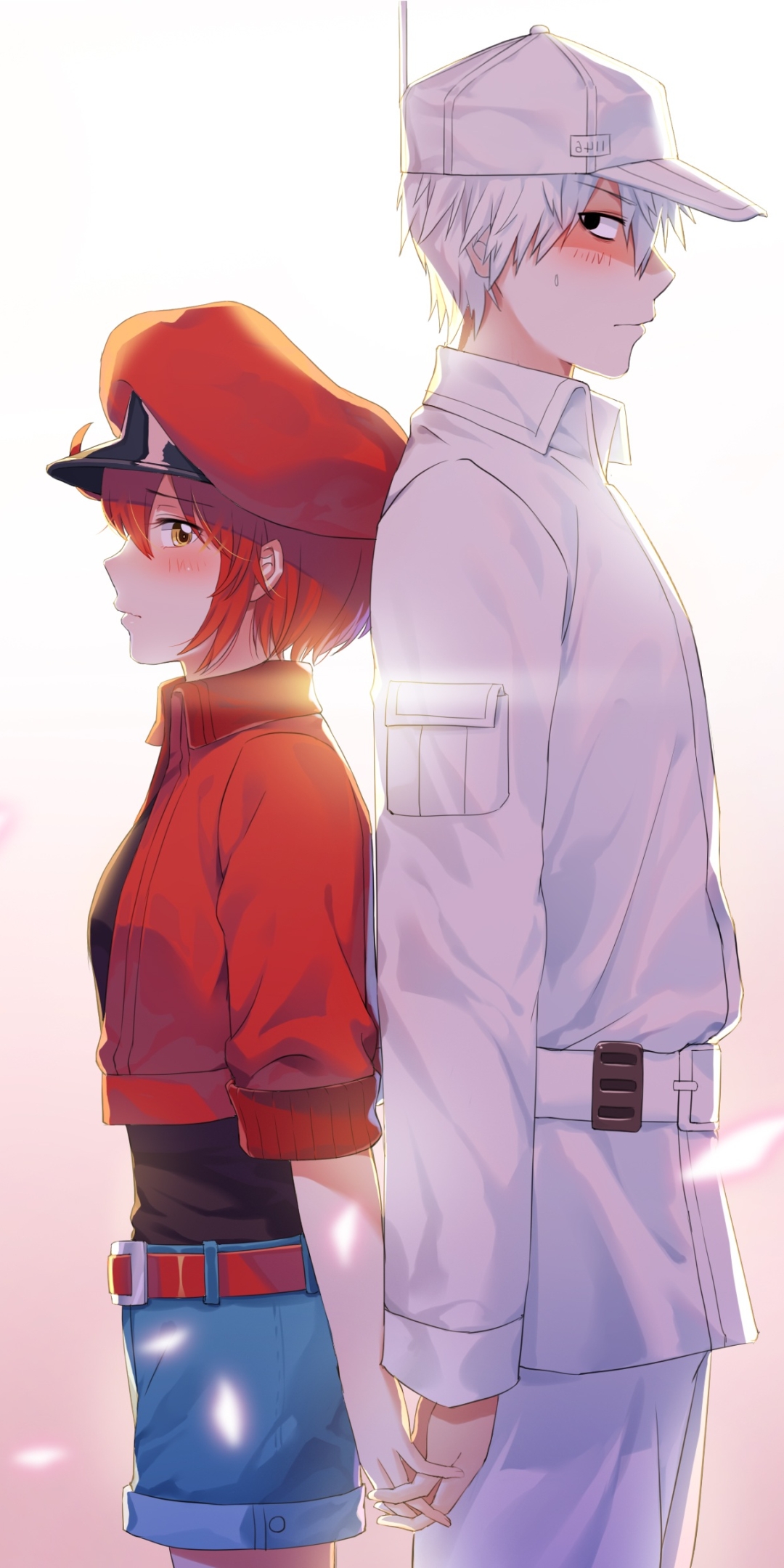 Download Cells At Work Anime White Blood Cell Wallpaper