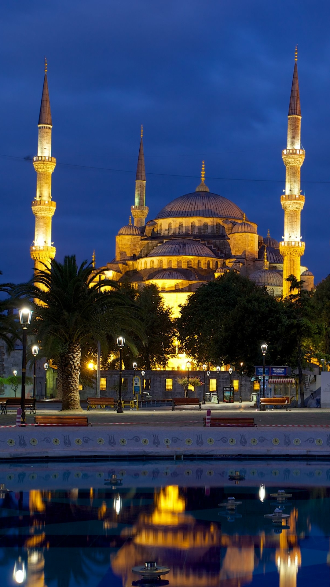 Night view of blue mosque