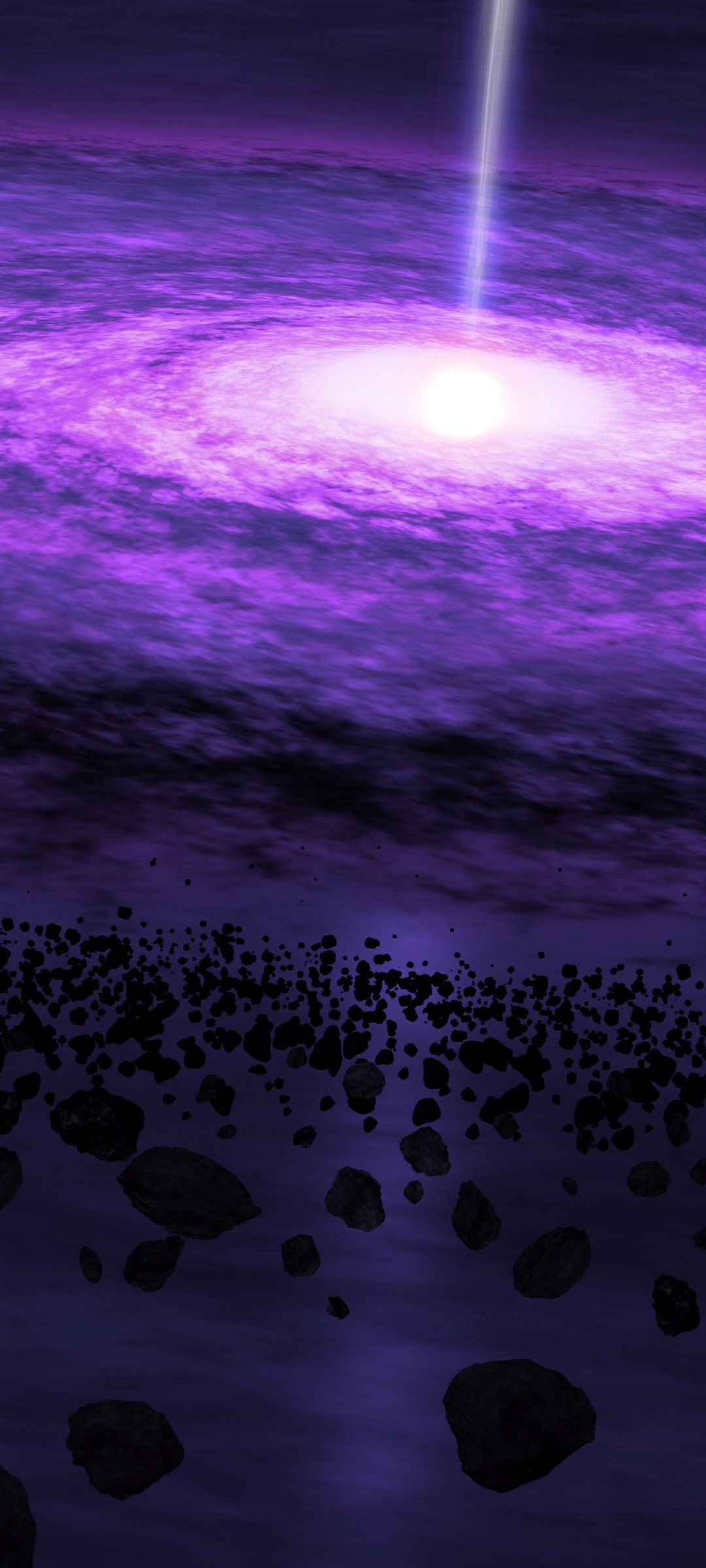 Purple Cosmos