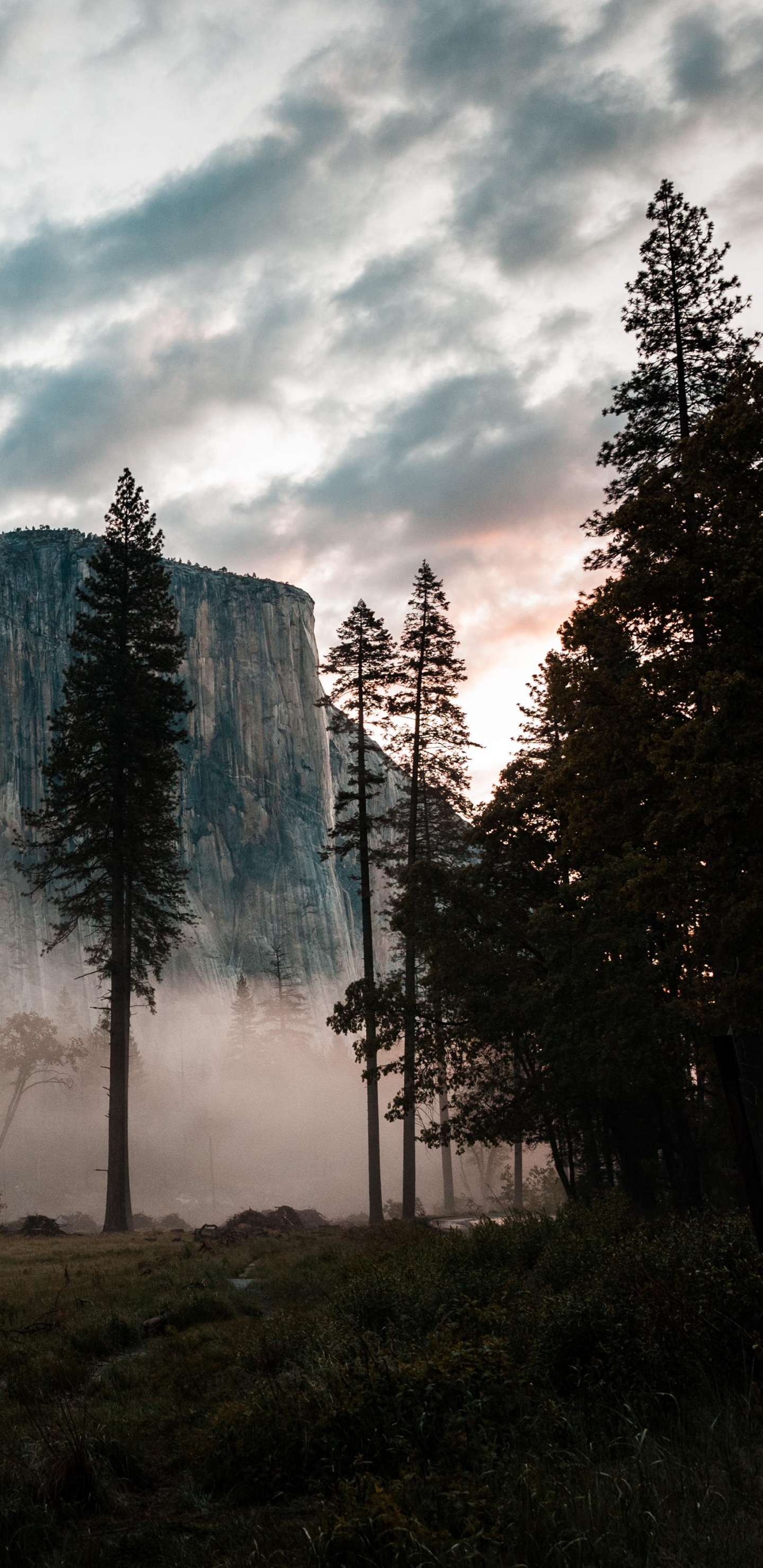 Yosemite National Park Phone Wallpaper