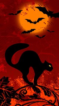 Halloween-themed phone wallpaper featuring a silhouetted black cat on a pumpkin with flying bats and a full moon in a red sky.