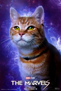The Marvels themed phone wallpaper featuring an orange tabby cat against a cosmic background with movie logo and release date.