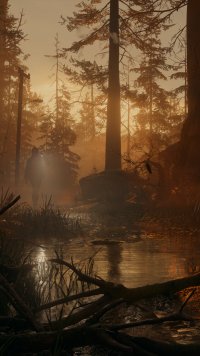 Mystical forest scene at sunset with eerie backlight and reflection on water, inspired by Alan Wake 2, perfect for phone wallpaper.