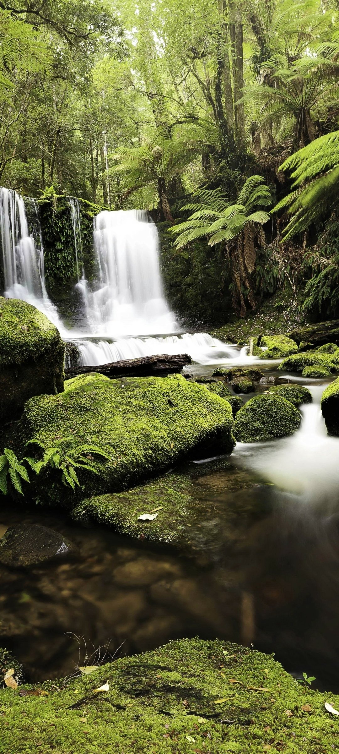 Lush green forest with a cascading waterfall over moss-covered rocks, captured in a vertical phone wallpaper format compatible with iPhones and Android devices.