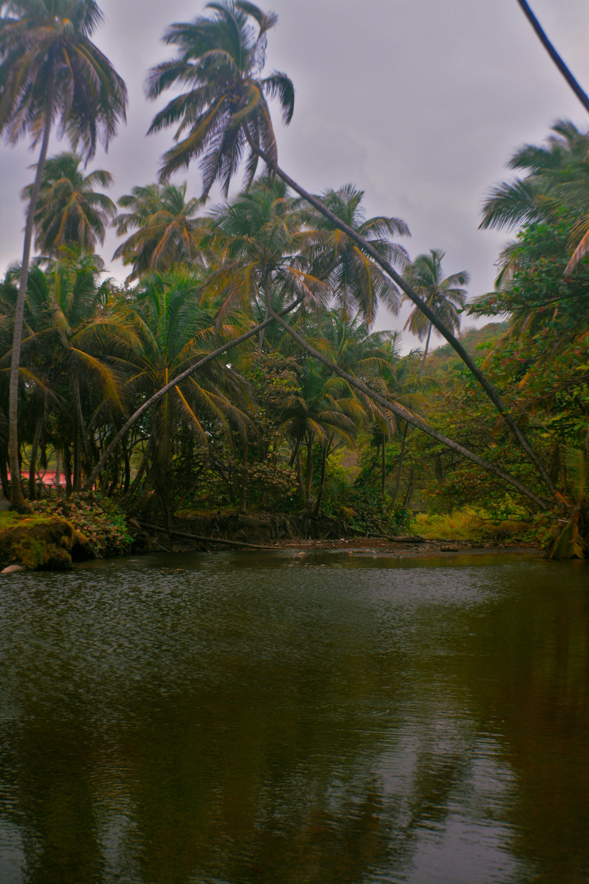 Abujvisuals wallpaper 3 by primewilson