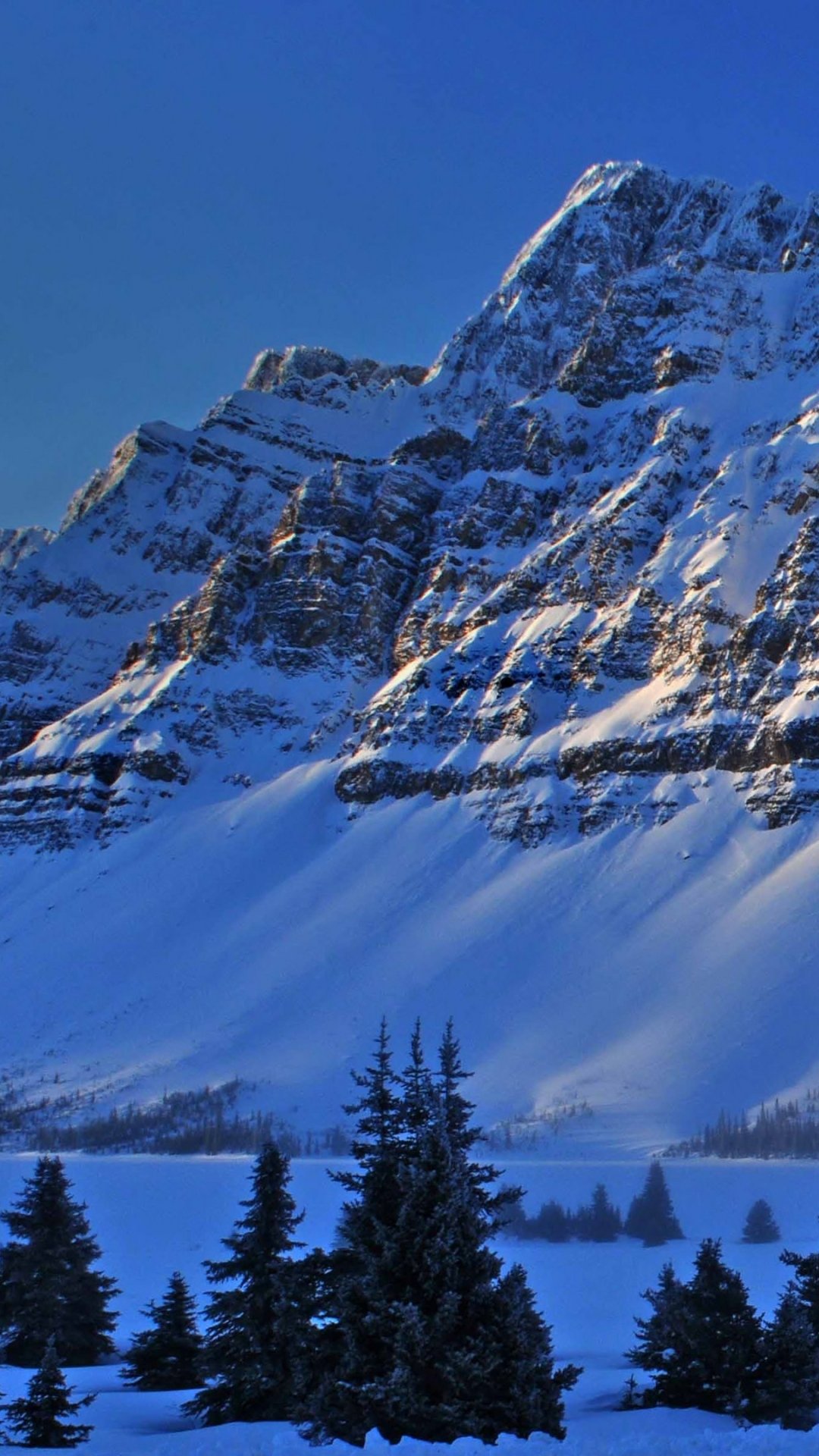 Download Nature Winter Phone Wallpaper
