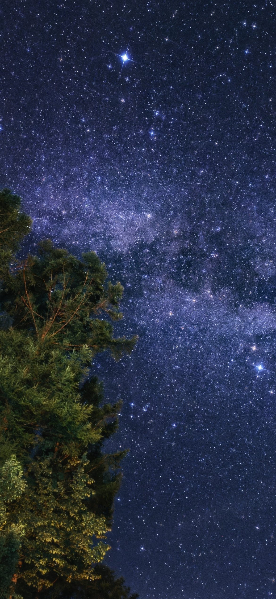 Download Nature Night Phone Wallpaper