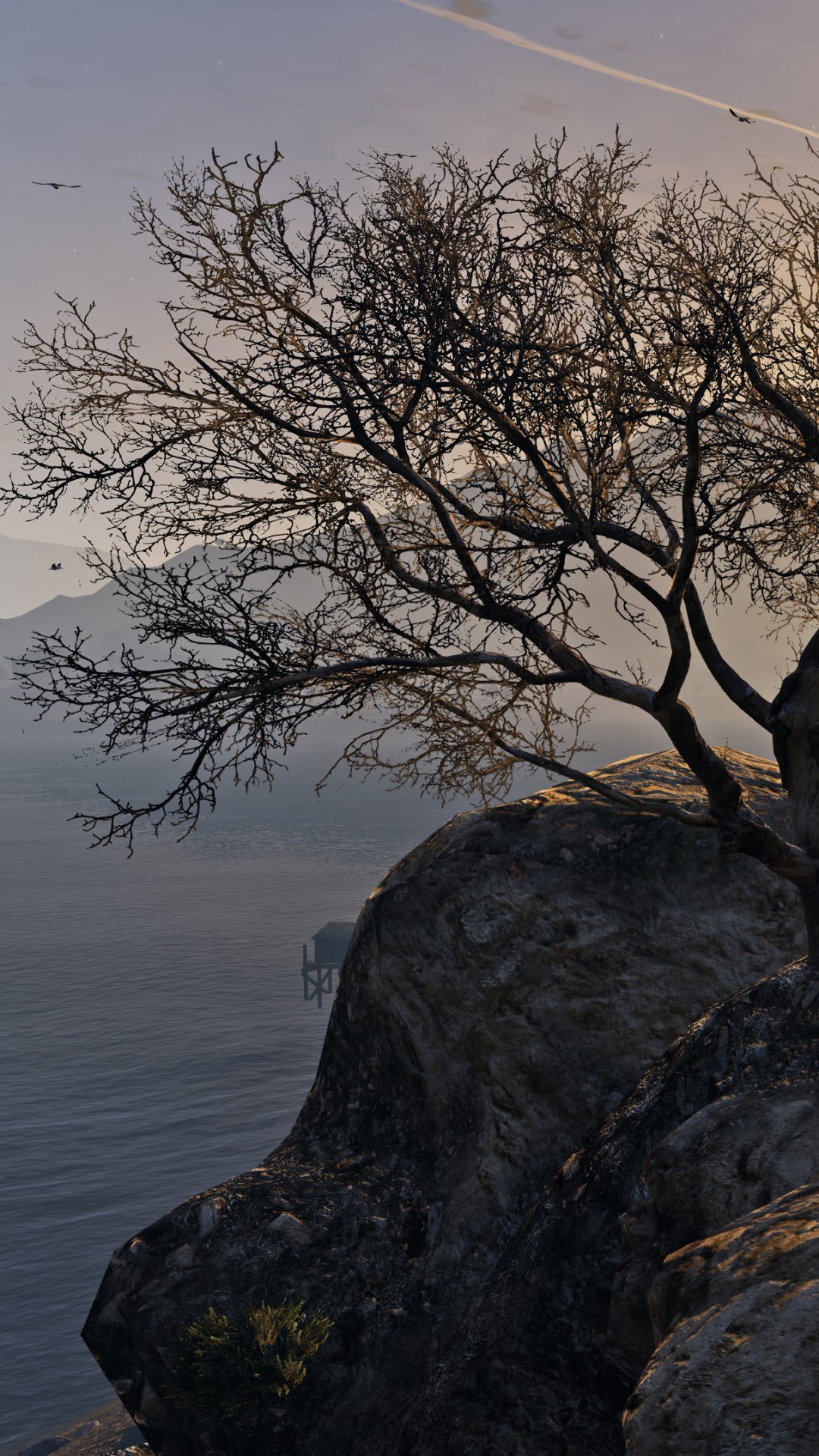 Download Video Game Grand Theft Auto V Phone Wallpaper