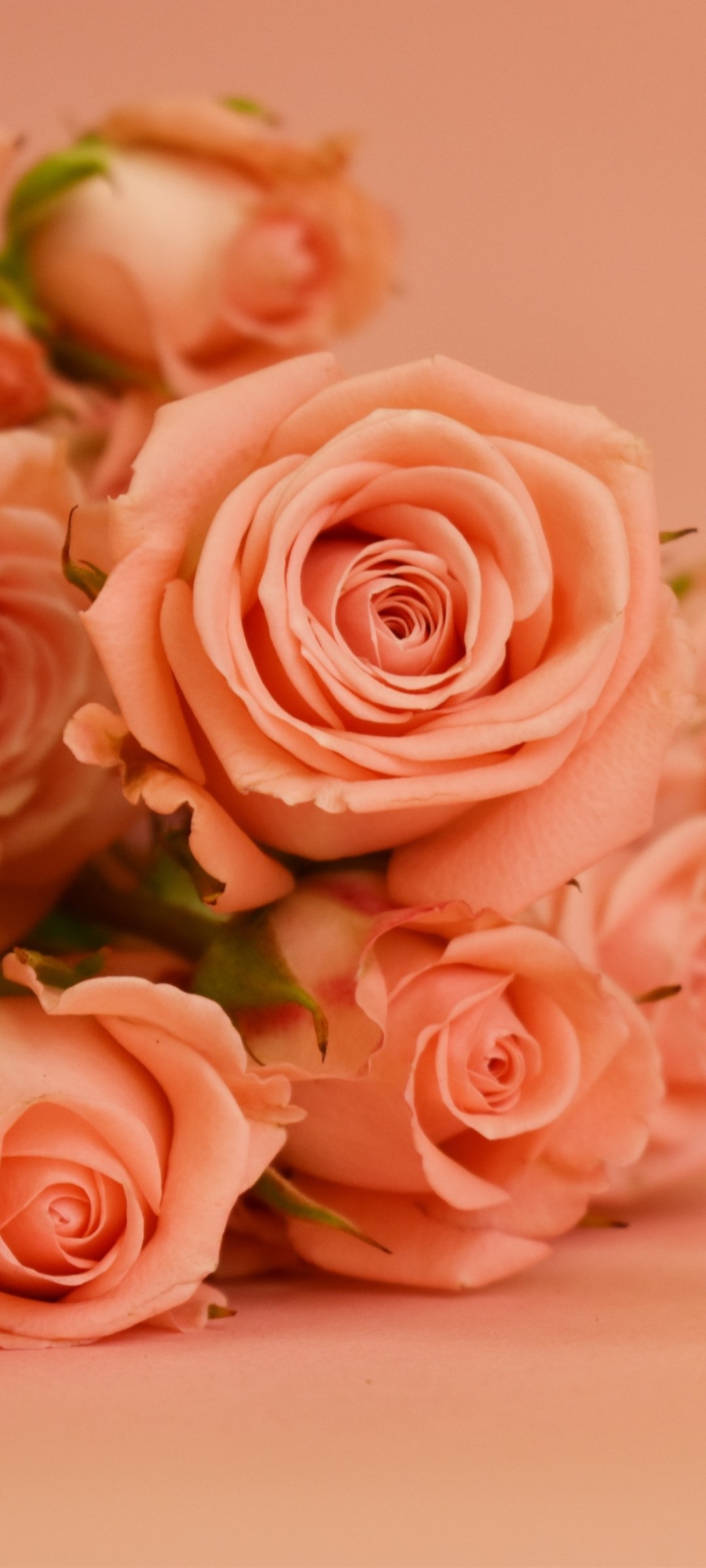 Download Man Made Flower Phone Wallpaper