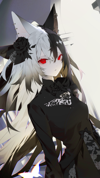 Anime girl with black and white hair, red eyes, and fox ears wearing a black dress with roses, designed as a phone wallpaper for iPhones and Android devices.