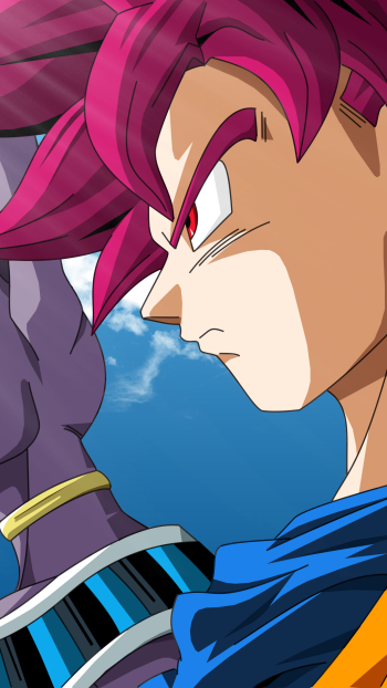  Beerus and Goku SSJ God by Gary Arturo