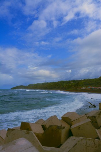 beach earth photography nature Phone Wallpaper