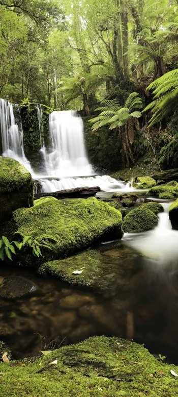 nature waterfall Phone Wallpaper