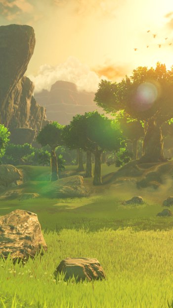 video game The Legend of Zelda: Breath of the Wild Phone Wallpaper