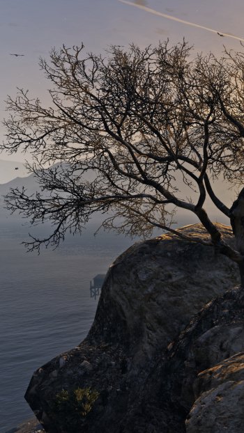 video game Grand Theft Auto V Phone Wallpaper