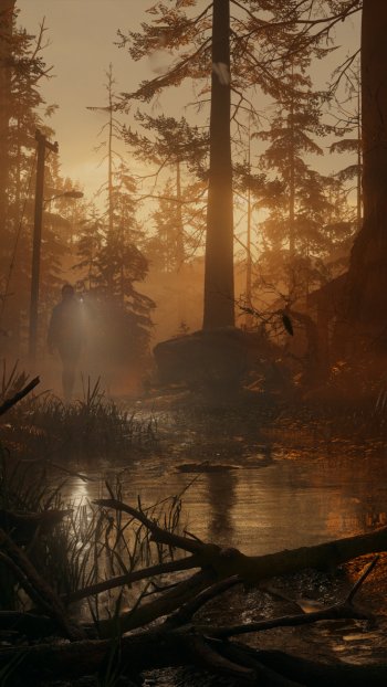 A moody phone wallpaper from Alan Wake 2, featuring a silhouette of a figure walking through a misty forest at sunset, illuminated by a flashlight amidst dark, reflective waters.