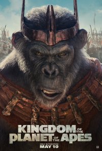 Kingdom of the Planet of the Apes movie wallpaper featuring a close-up image of a determined ape with a helmet set against a blurred natural background.