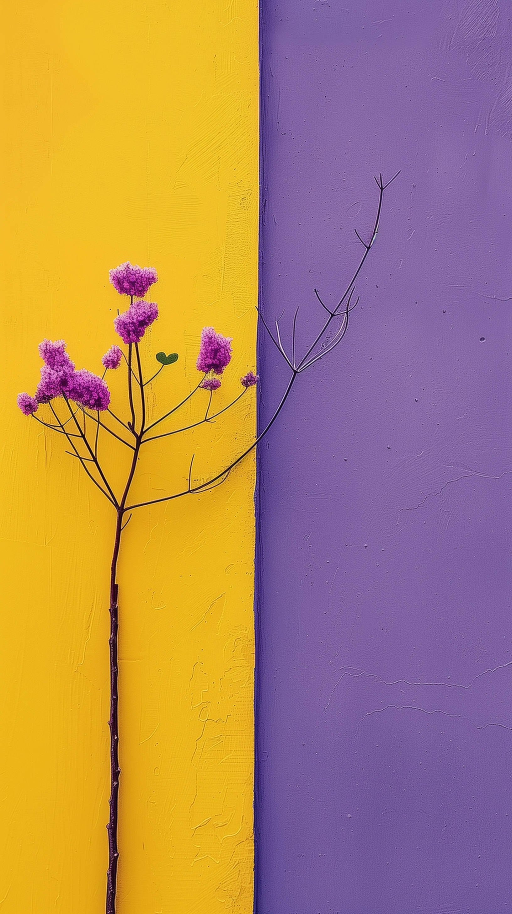 Aesthetic phone wallpaper featuring vibrant purple blossoms against a dual-tone yellow and purple background.
