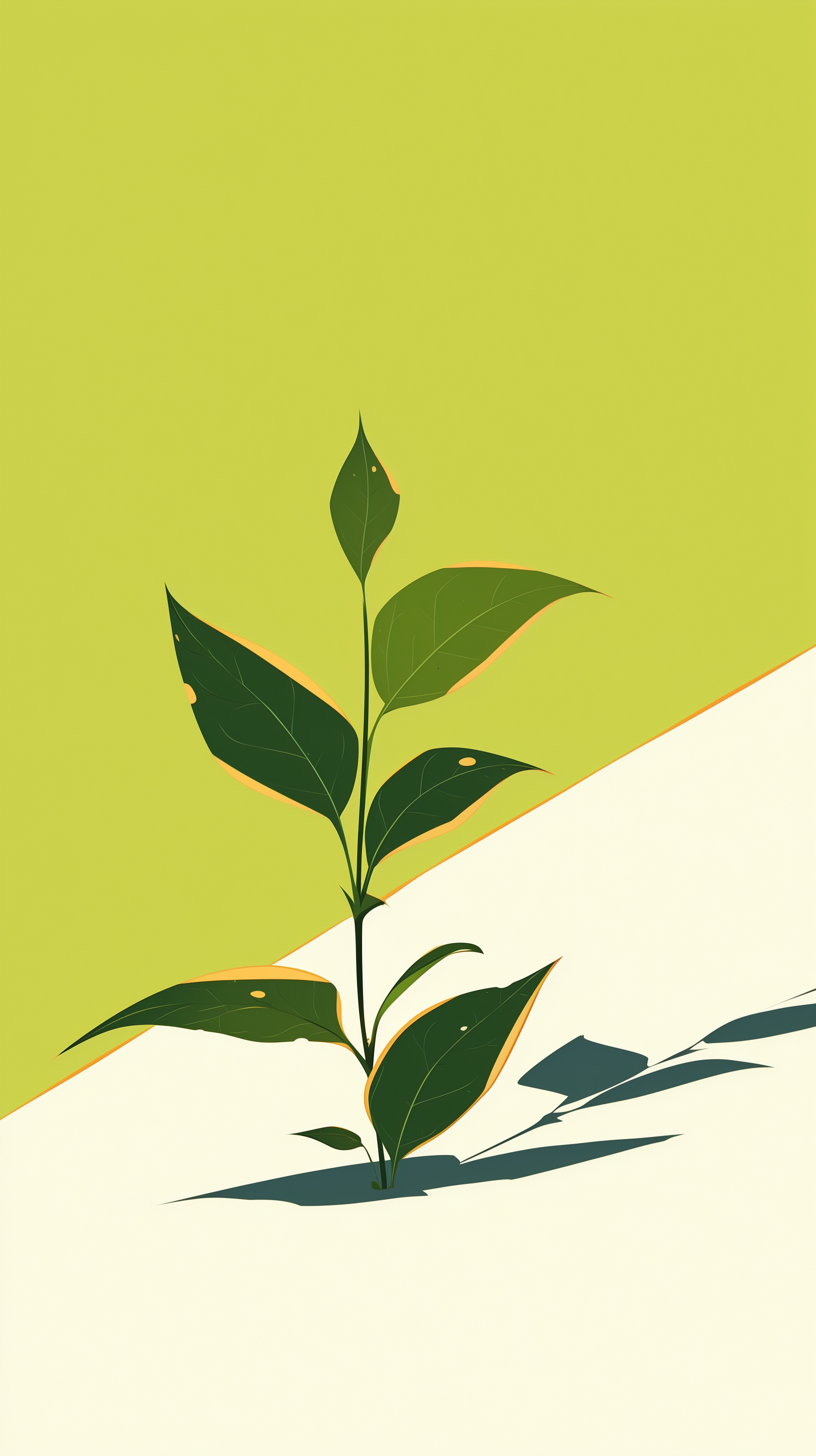A minimalist phone wallpaper featuring a stylized green plant against a dual-tone yellow and white background.