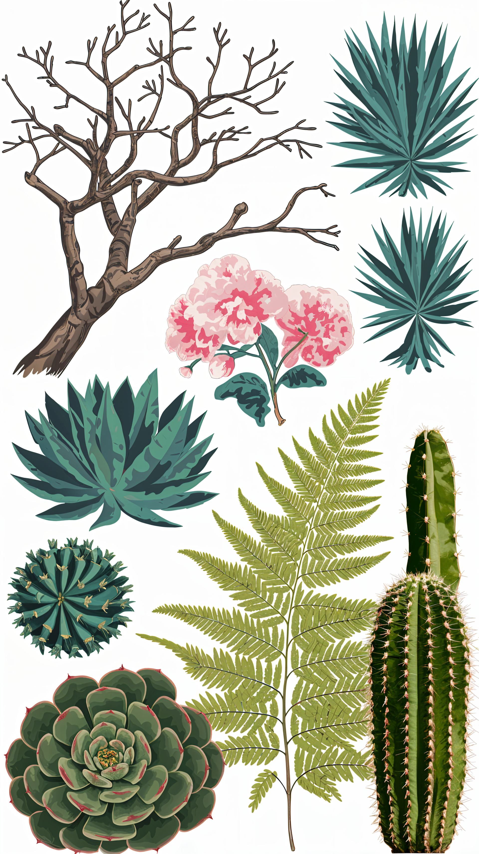 A vibrant phone wallpaper showcasing a variety of foliage, including cacti, succulents, ferns, and blooming flowers, creating a lush botanical aesthetic.