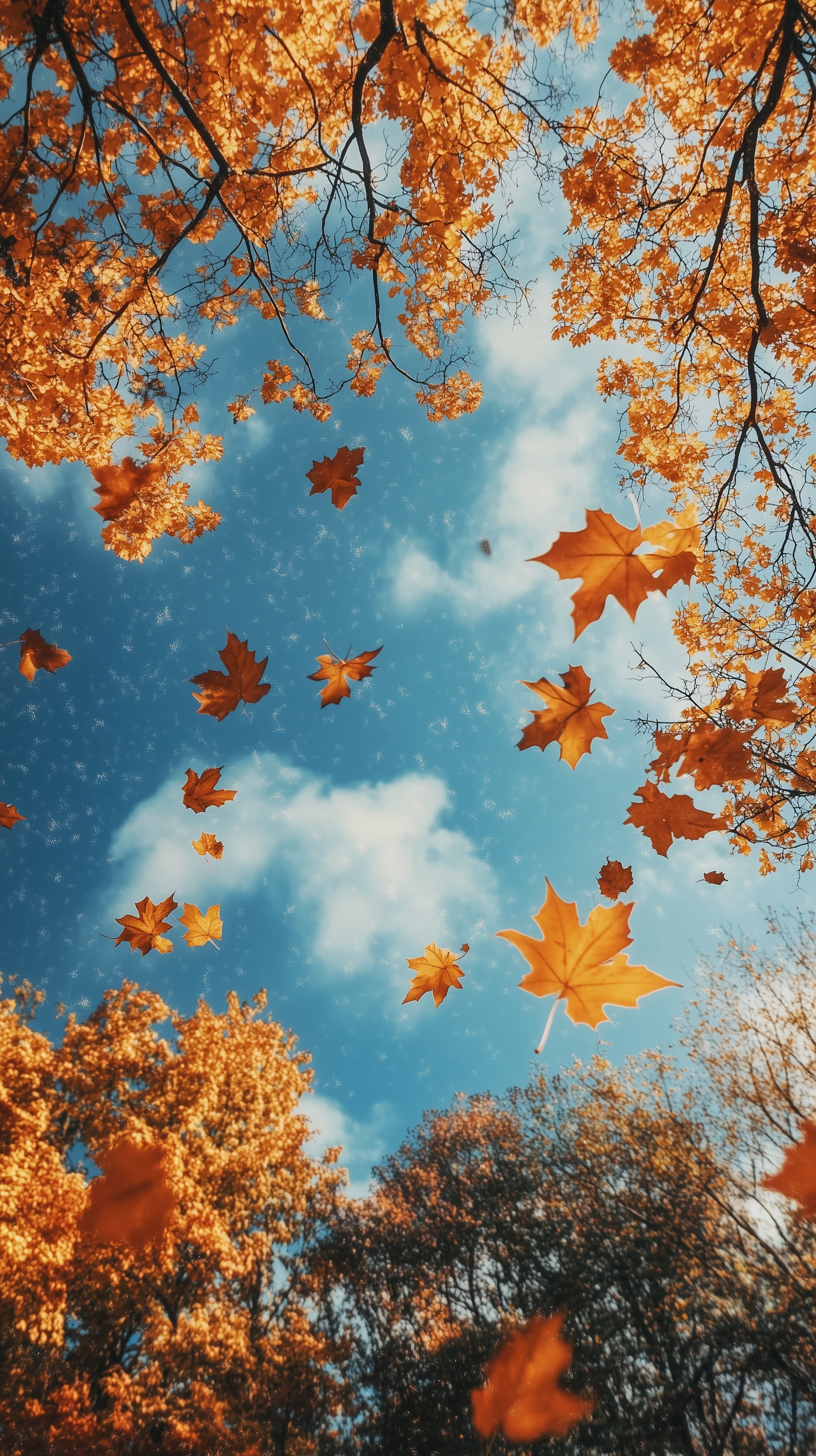 Vibrant autumn leaves fall against a bright blue sky, framed by golden tree branches, creating a vivid fall weather scene for phone wallpaper on iPhones and Android devices.