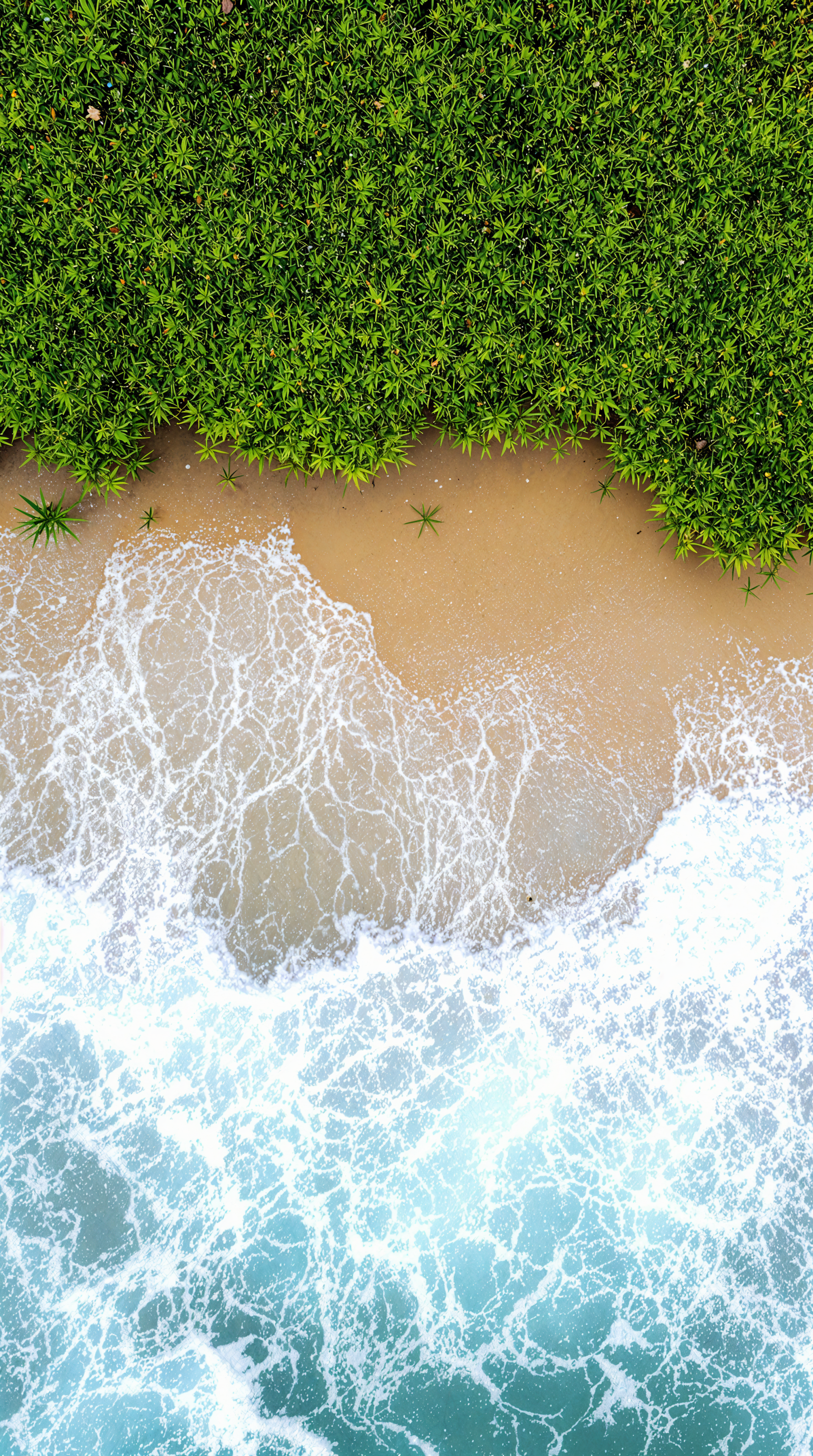 Aerial view of a sandy beach meeting clear, crashing waves, bordered by lush green vegetation, creating a serene coastal landscape.