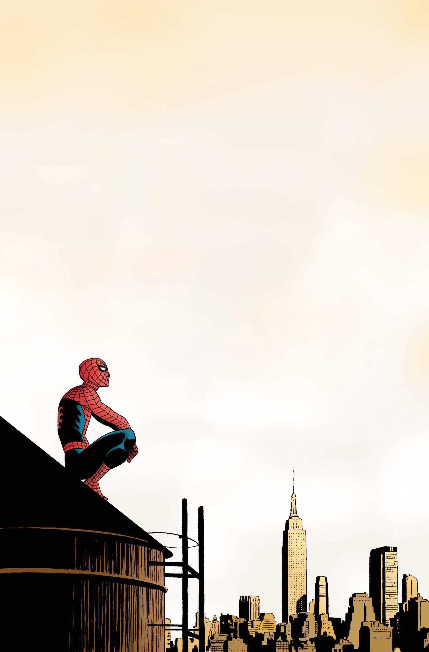 Phone wallpaper featuring Spider-Man perched on a rooftop overlooking a city skyline, designed for use on both iPhones and Android phones.