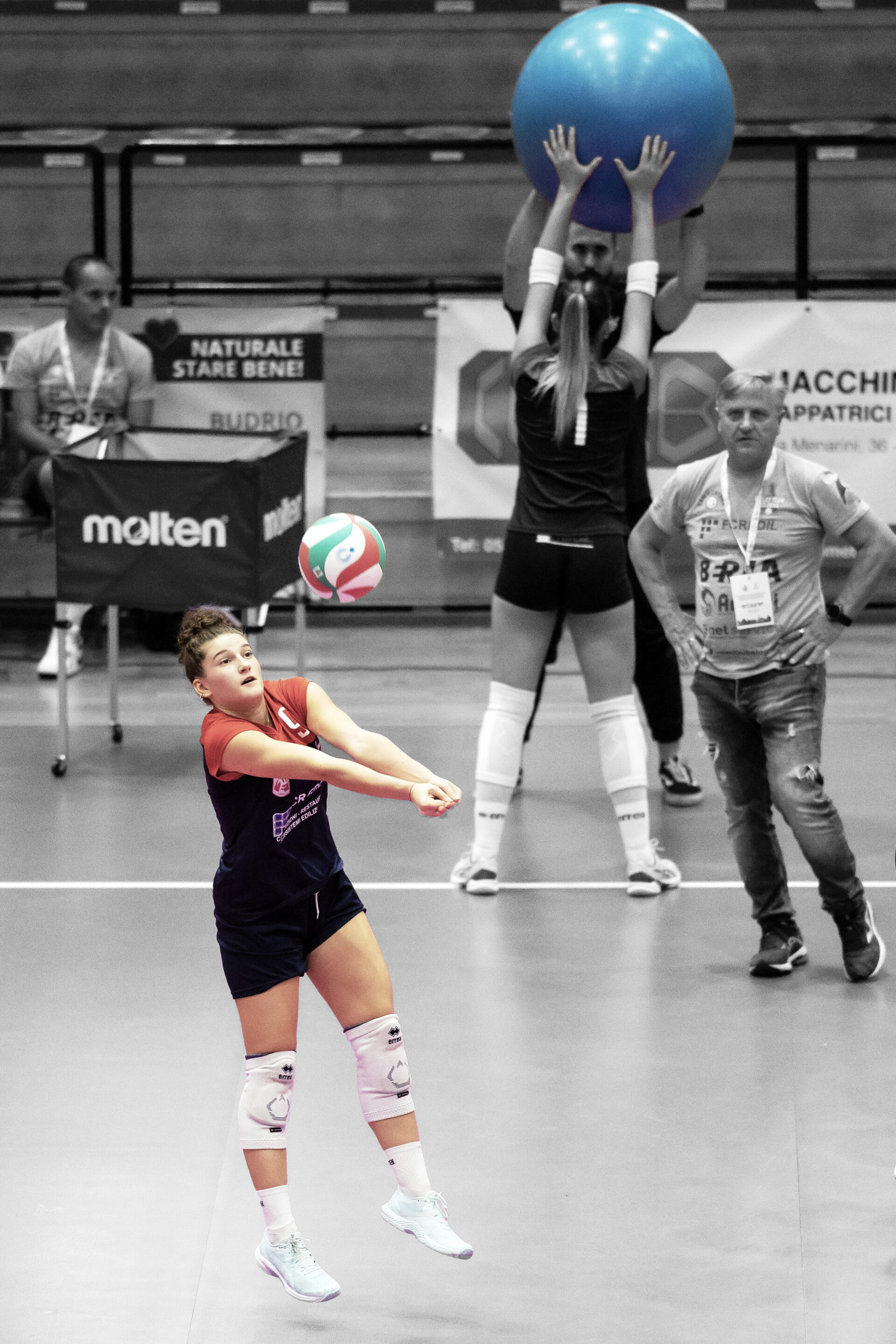 Download Sports Volleyball Phone Wallpaper