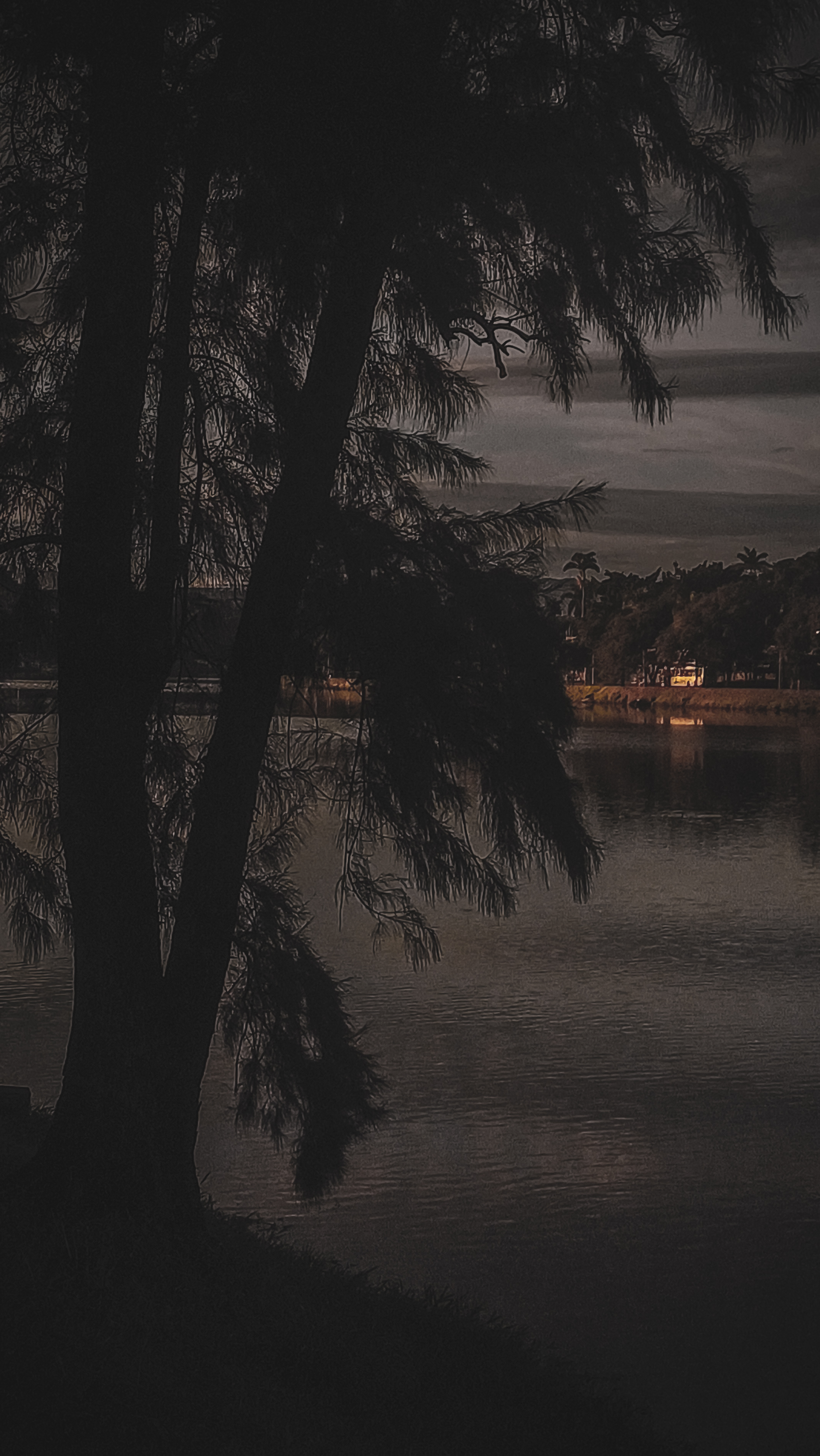 Dark photo of tree in the city by Hermano006