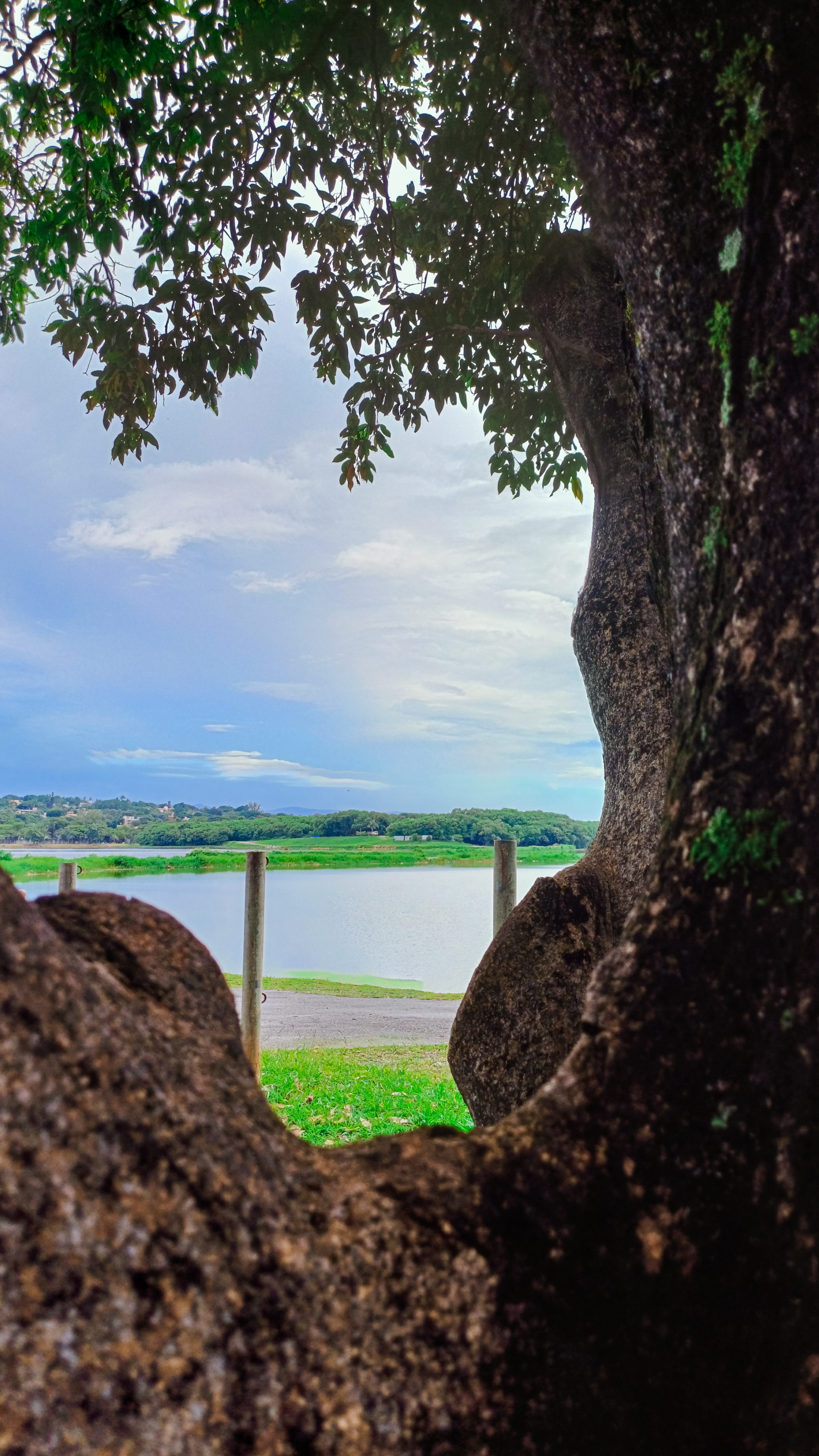 Photo of a lake between a tree by Hermano006