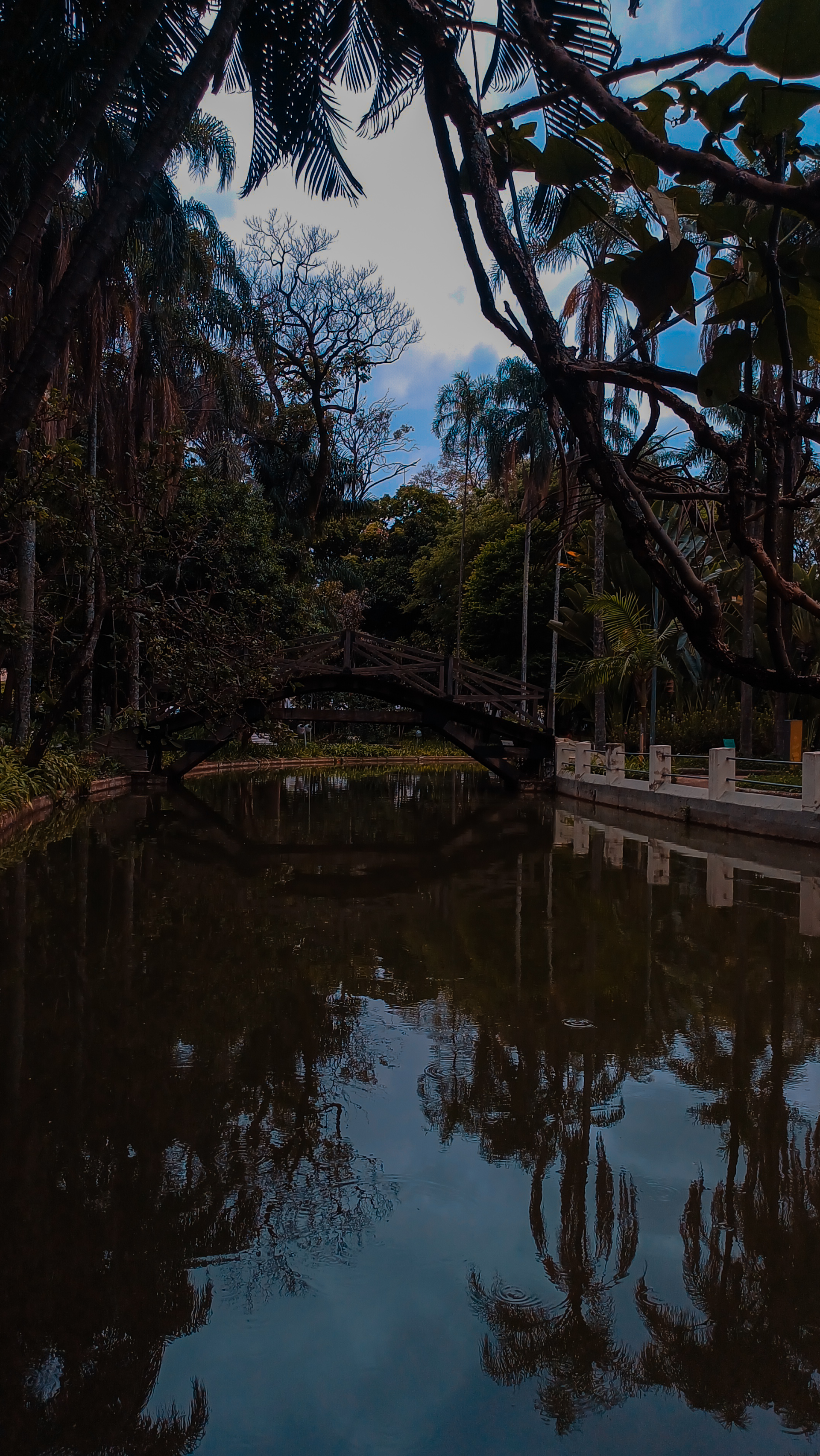 Dark photo in park with a bridge over a lake by Hermano006