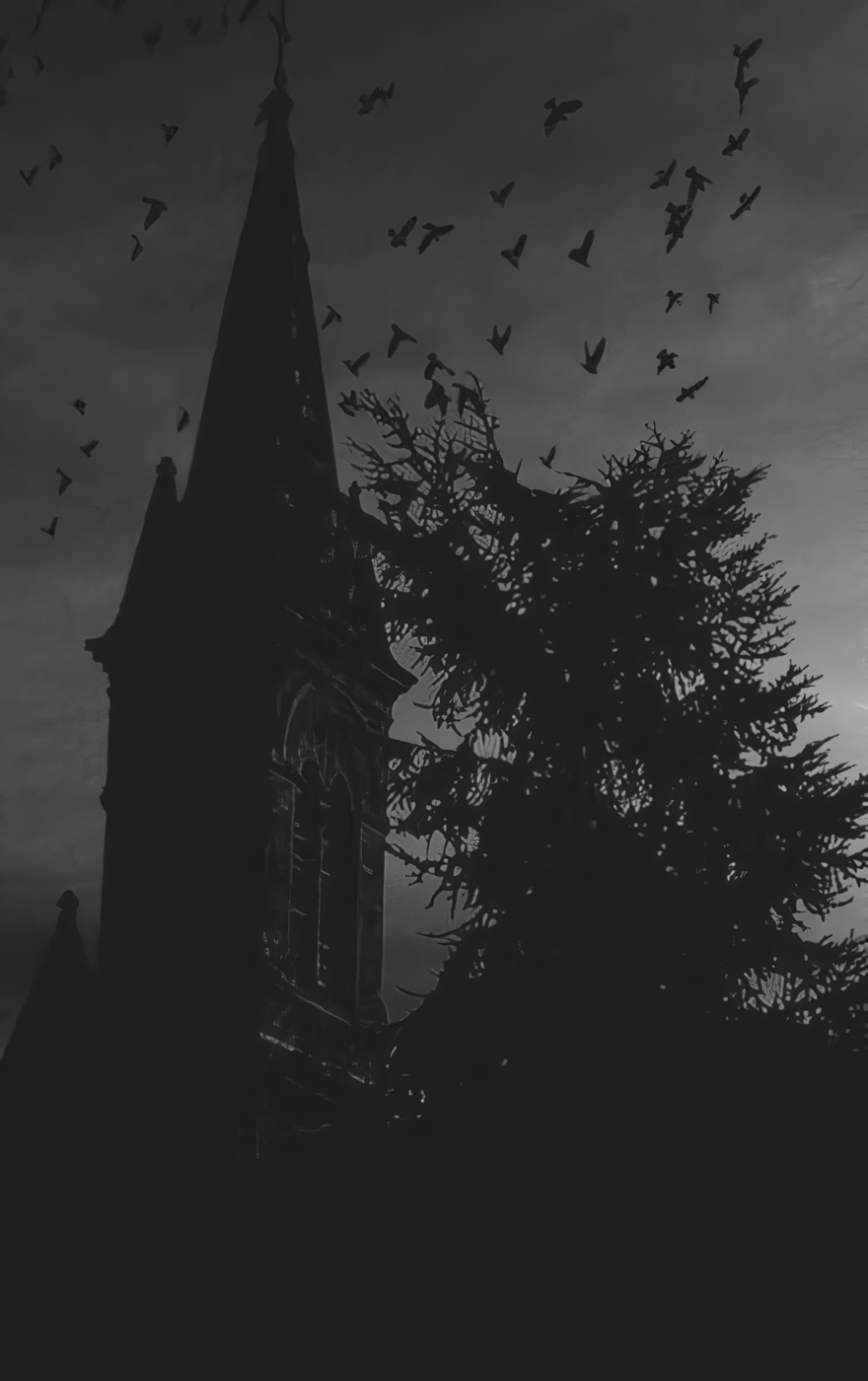 Dark fantasy gothic wallpaper featuring a black silhouette of a church steeple and tree against a dim sky, with birds flying overhead, for use on iPhone and Android phones.