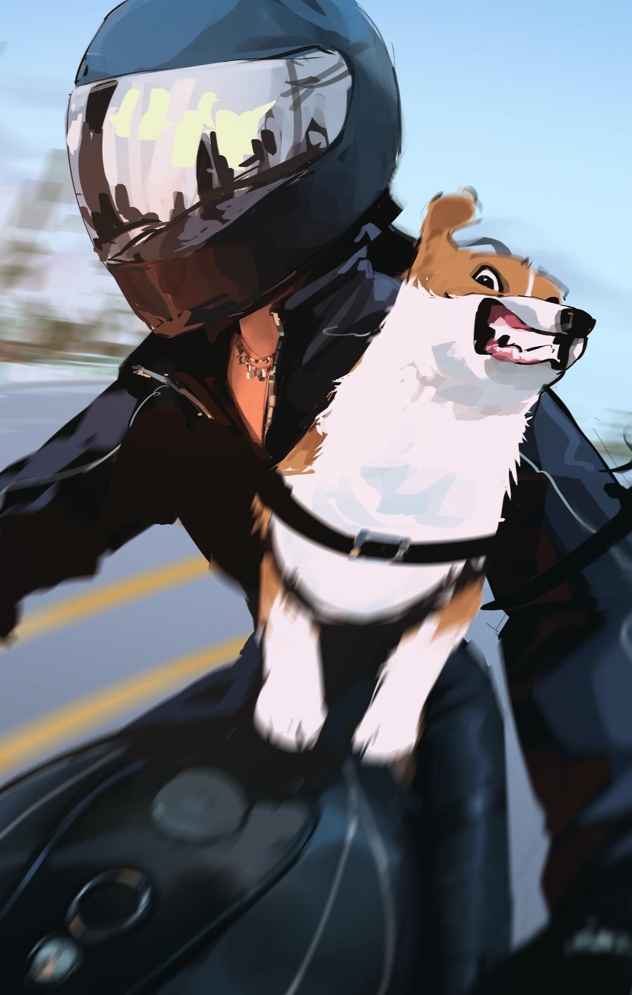 iPhone wallpaper: helmeted motorcyclist with a grinning corgi on the tank, cartoonish meme-style scene of a funny dog enjoying a fast ride.