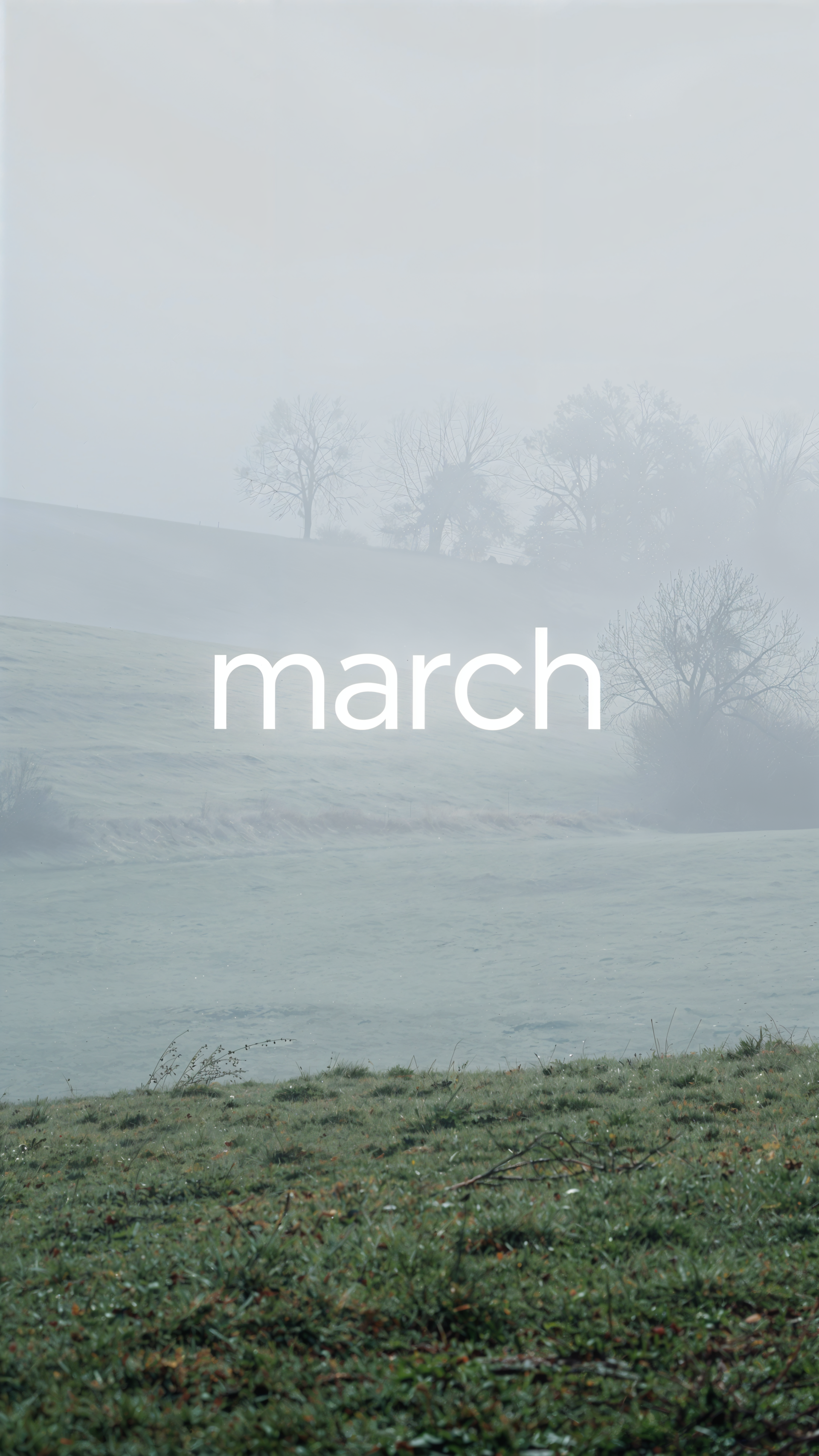iPhone wallpaper: misty green meadow and distant trees shrouded in fog, with white centered text march.