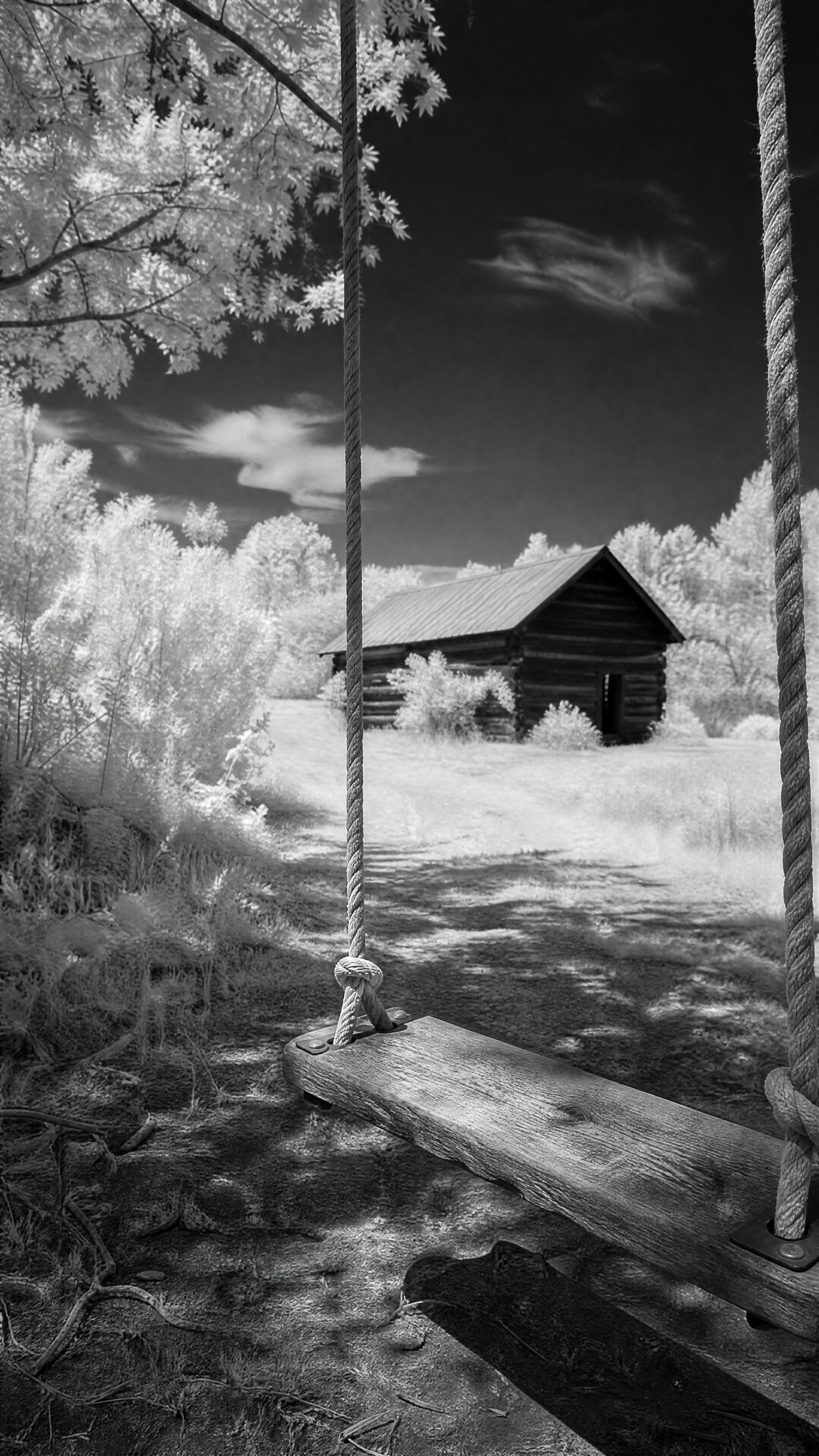 Nostalgic black-and-white iPhone wallpaper: a wooden rope swing in shadow with a sunlit log cabin framed by trees in a tranquil country clearing.