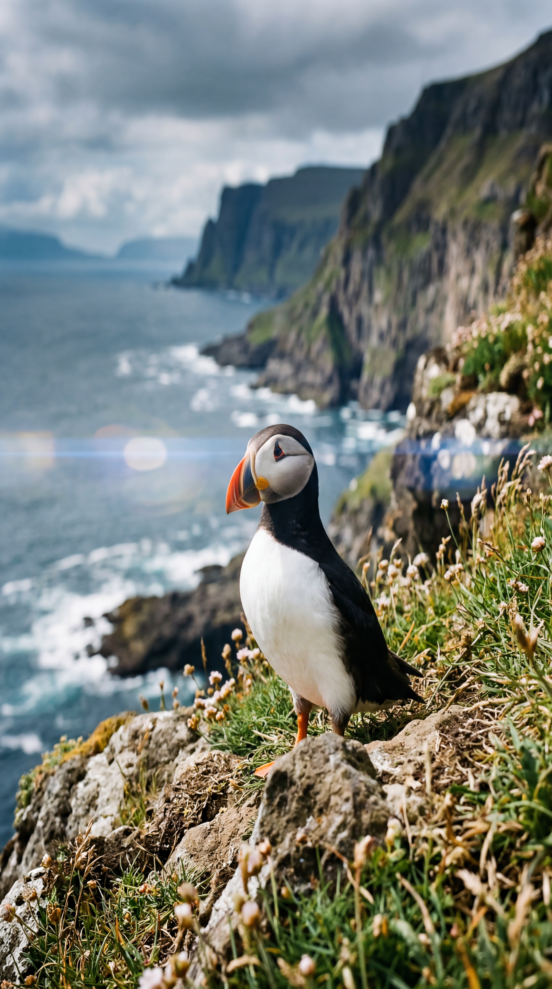 Vertical iPhone wallpaper of a puffin perched on grassy coastal cliffs with waves and distant rocky headlands beneath a dramatic cloudy sky.