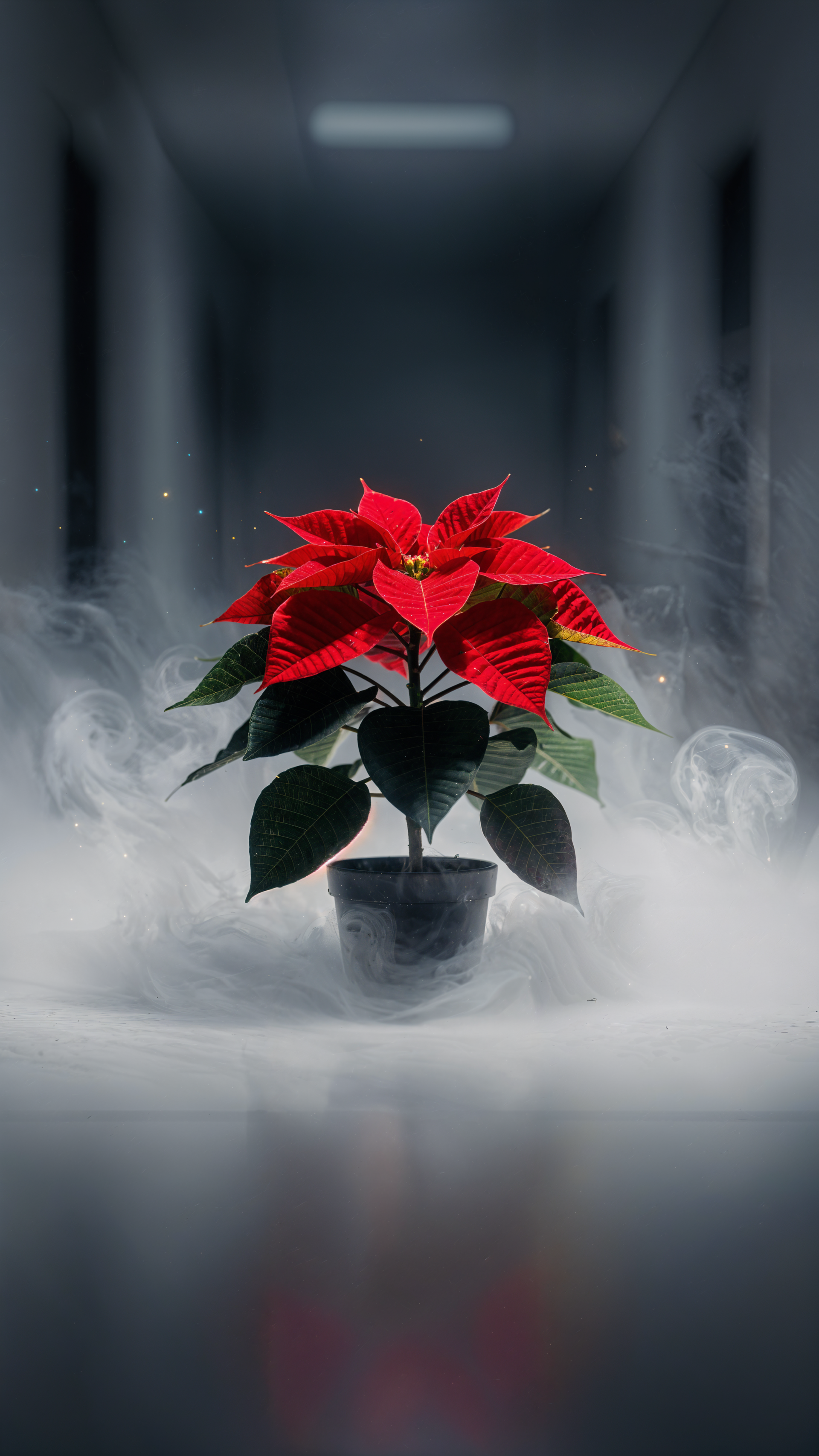 iPhone wallpaper showing a red poinsettia in a pot, glowing amid low mist in a dim, moody corridor with a soft overhead light.