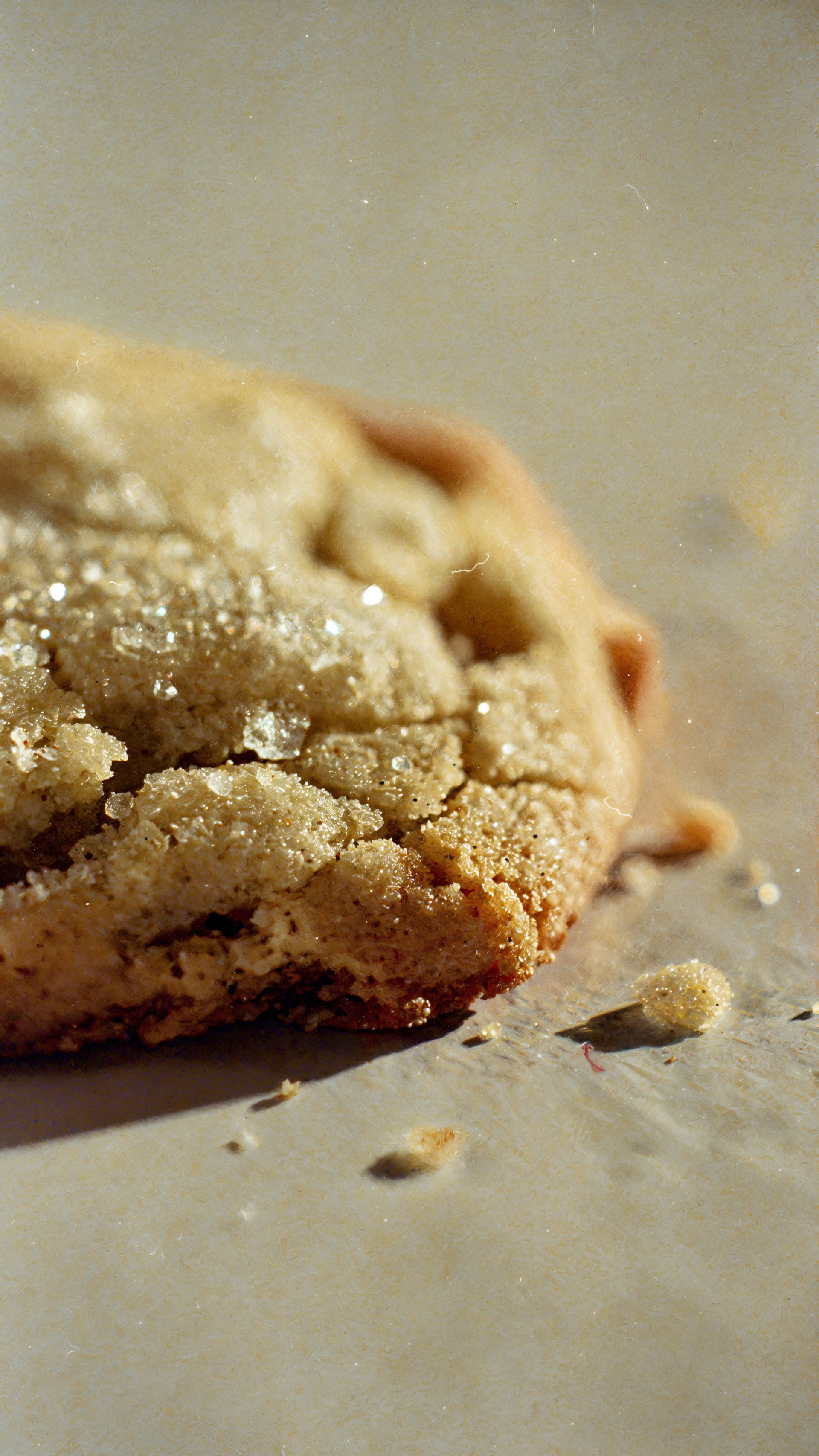 Close-up iPhone wallpaper of a sugar cookie's sugared, cracked surface and scattered crumbs on parchment paper, bathed in warm golden light.