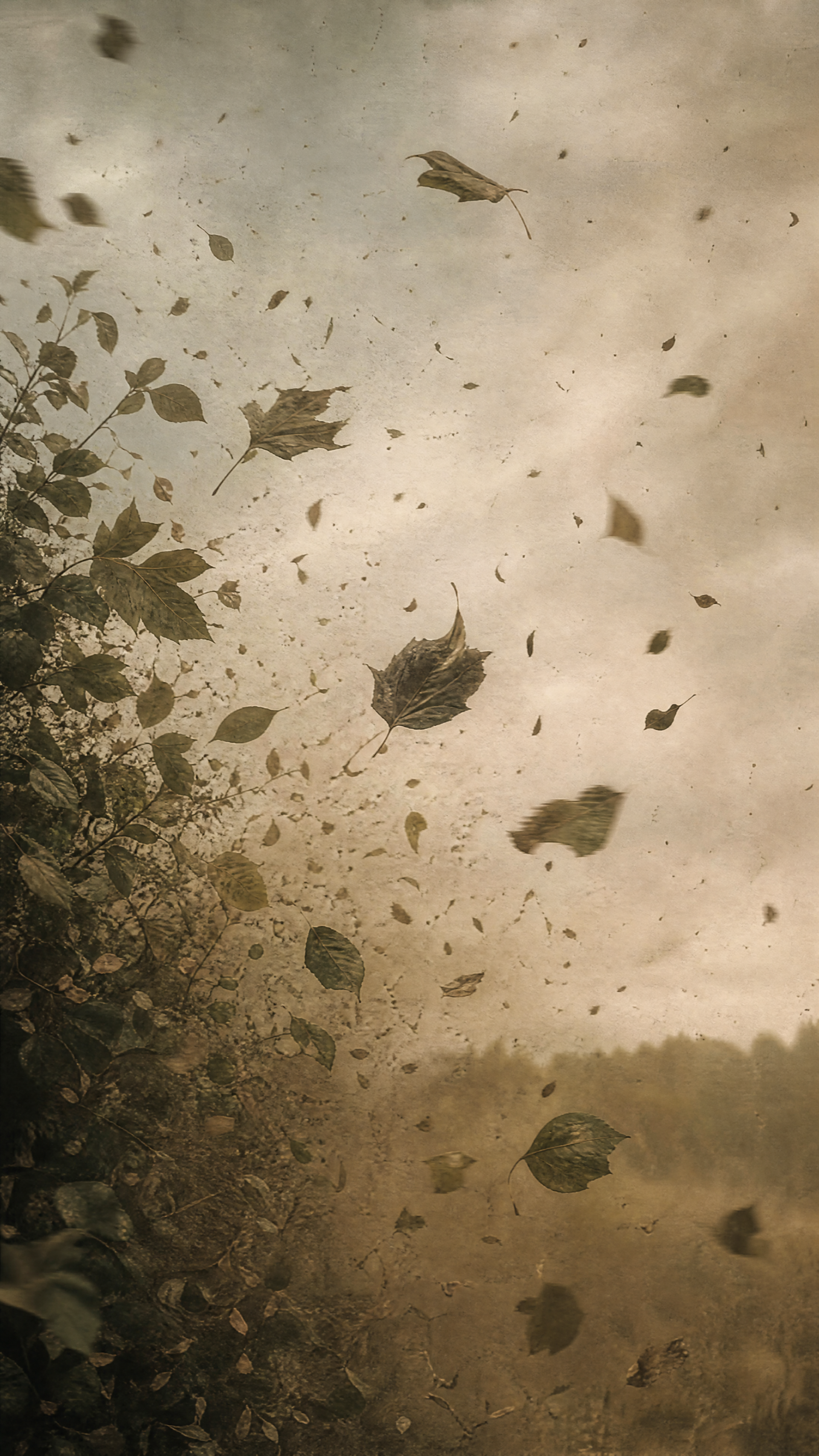 Phone/iPhone wallpaper showing swirling foliage and leaves whipped by storm winds beneath a dusty, overcast sky.