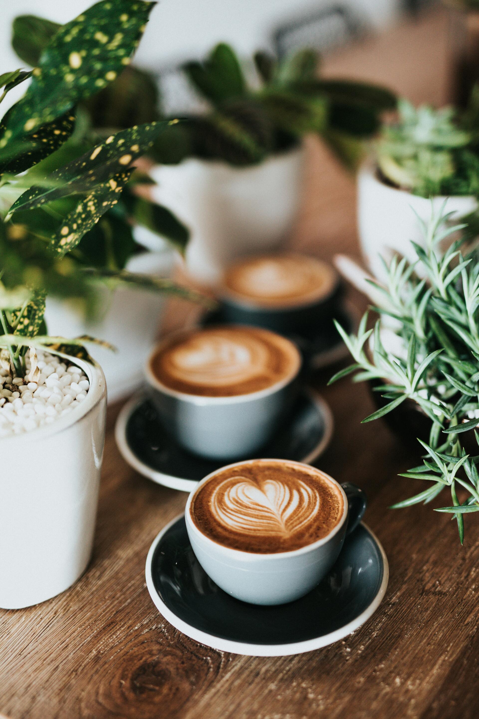 Espresso Fall iPhone wallpaper: cozy close-up of three coffee lattes with heart latte art in cups on a wooden table, framed by green potted plants.