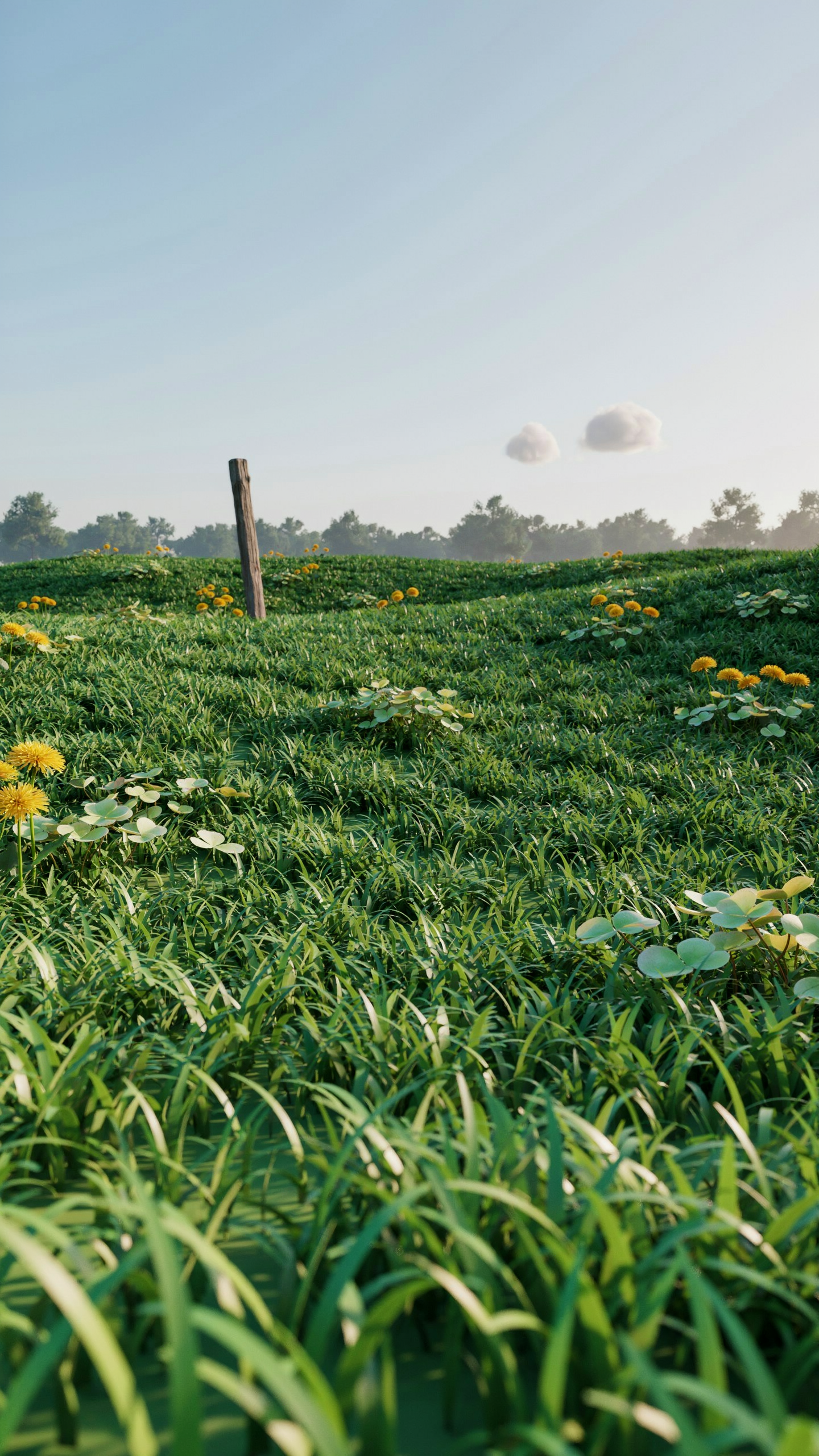Phone wallpaper of a sunlit meadow: lush green lawn and grass dotted with yellow flowers across a gently rolling field beneath a pale blue sky.