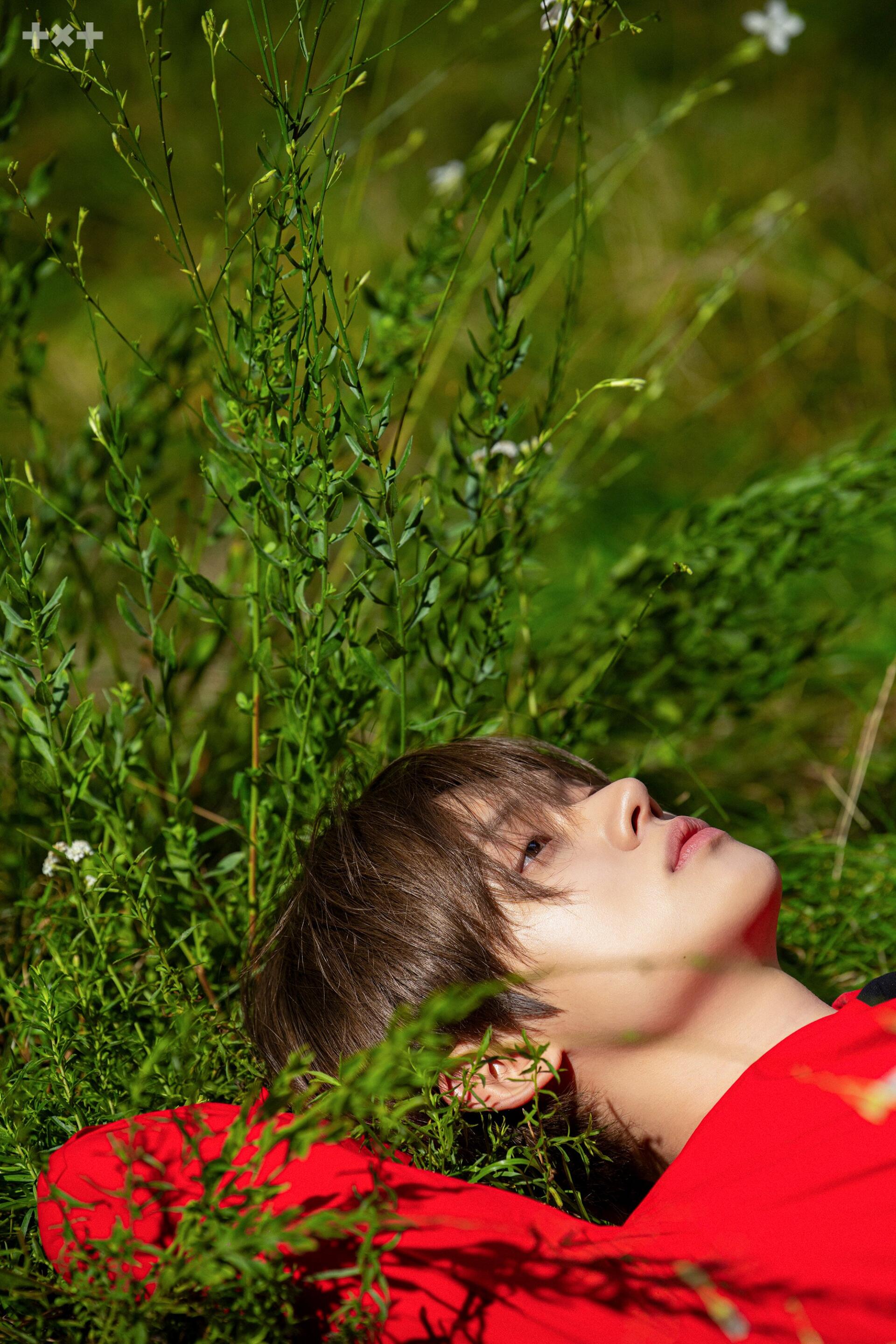 TXT Perfect Storm portrait iPhone wallpaper featuring a Tomorrow X Together member reclining in green grass in a vivid red shirt.