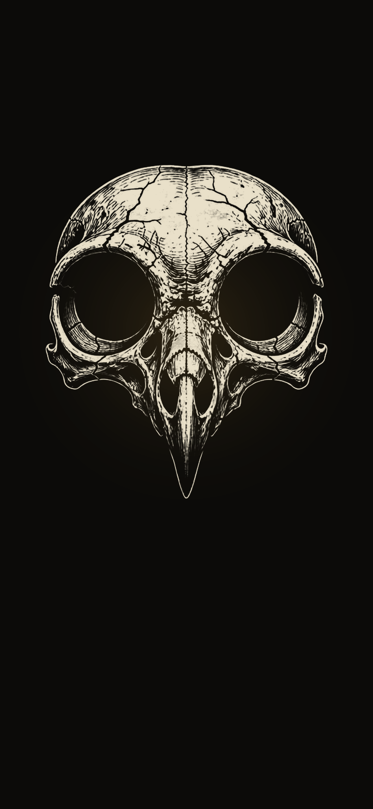 Black-and-white ink illustration of an owl skull on a dark background, designed as an iPhone wallpaper.