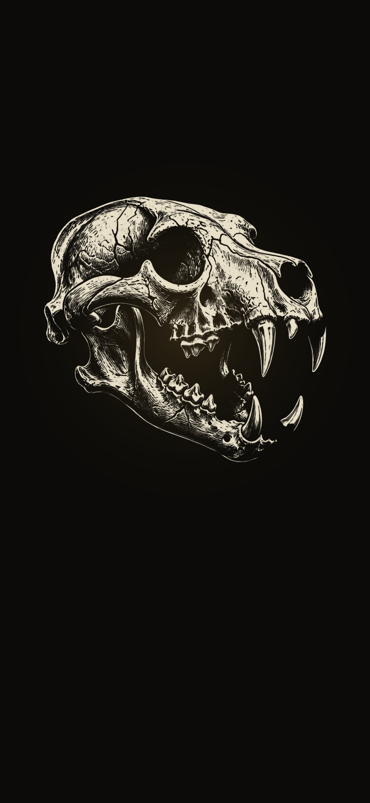 Dark black-and-white ink illustration of a snarling bear skull on a phone wallpaper.