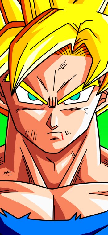  Goku by Bejitsu