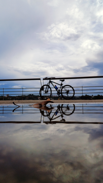 sunlight bike reflection puddle city Phone Wallpaper