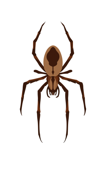 A simplistic illustration of a brown recluse spider, featuring its distinct markings and long legs, designed as a phone wallpaper.