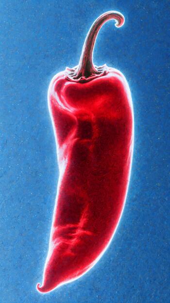 Vibrant red chili pepper with a glowing white edge on a textured blue background — vertical phone wallpaper for iPhone and Android.