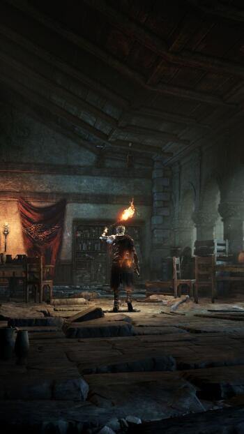 Dark Souls video game phone wallpaper: lone armored figure holds a torch in a ruined stone hall, warm light piercing deep shadow.